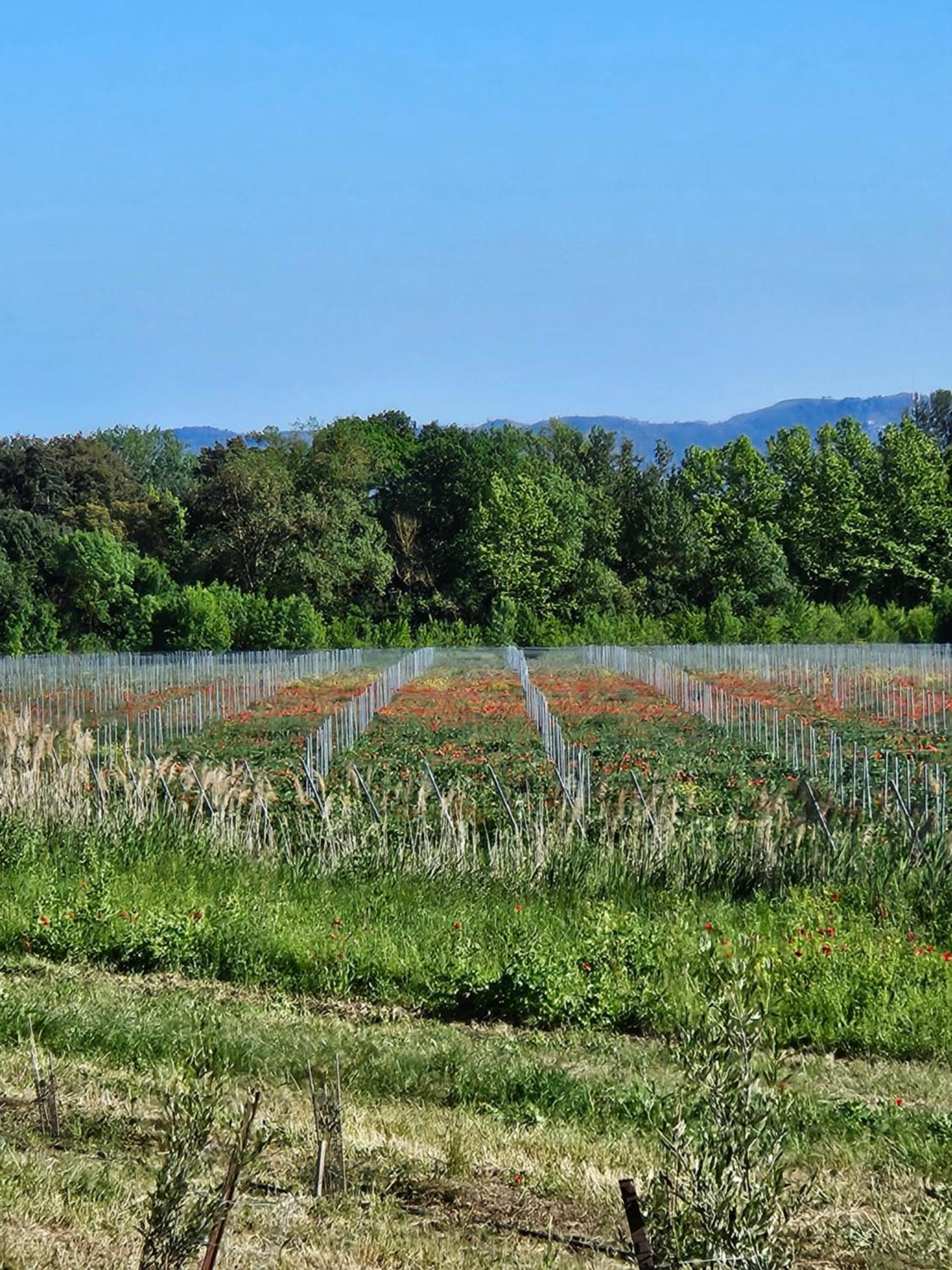 Domaine Villecarla Villedubert Экстерьер фото